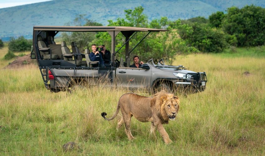 Game viewing/ drive