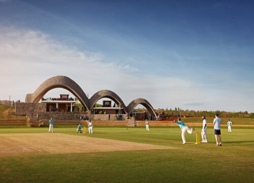 Cricket