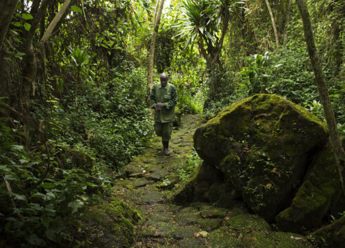 Buhanga Eco Park