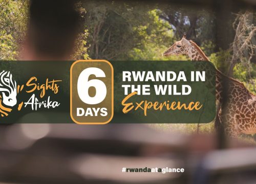 6 DAYS RWANDA IN THE WILD Experience