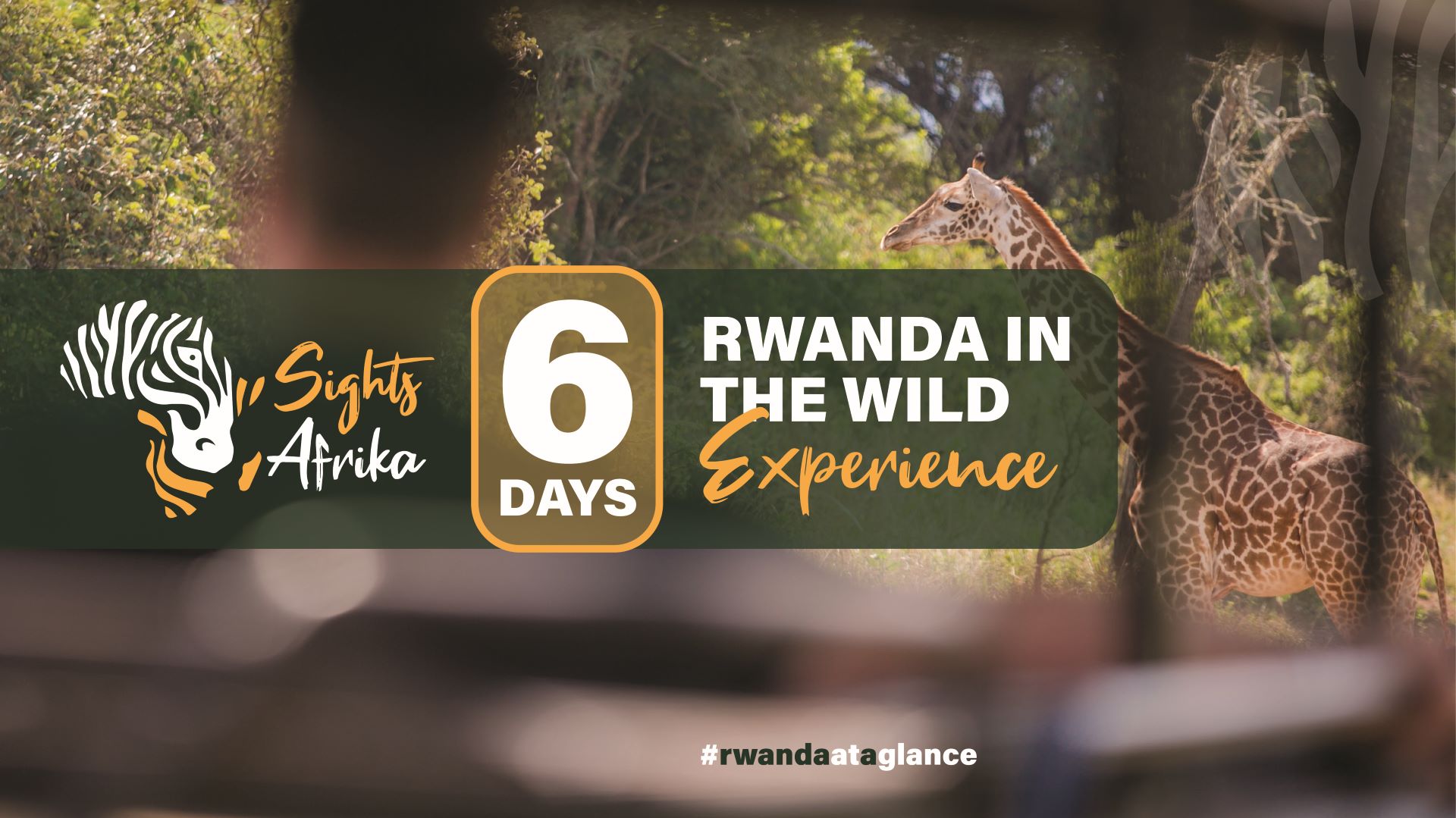 6 DAYS RWANDA IN THE WILD Experience